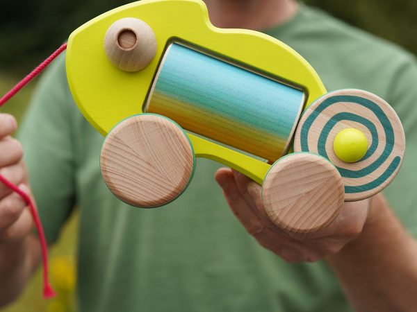 Bajo Pull Along Chameleon