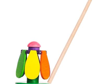 Bajo Rainbow Flower Push Along