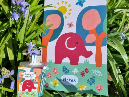 Butterfly Seedbom & Butterfly Notebook