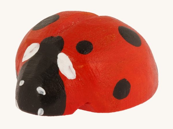 Bumbu Wooden Ladybird