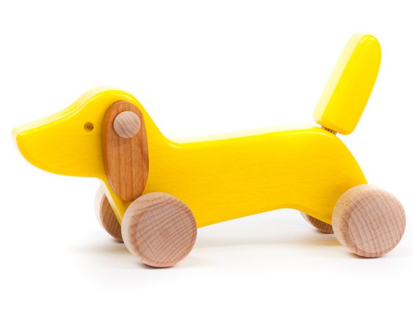 Bajo Yellow Dachshund Puppy