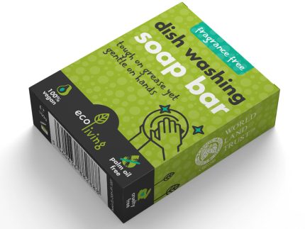 Ecoliving Dish Soap Bar - Fragrance-free