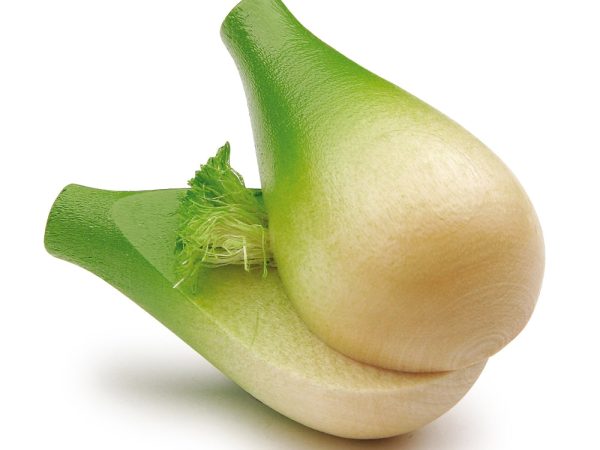 Erzi Fennel  Bulb Wooden Play Food