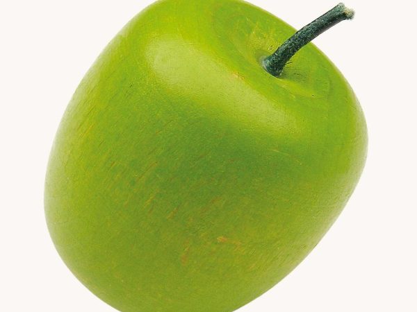 Erzi Green Apple Wooden Play Food