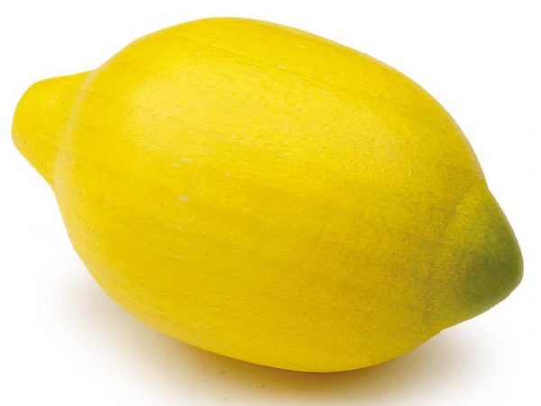 Erzi Lemon Wooden Play Food
