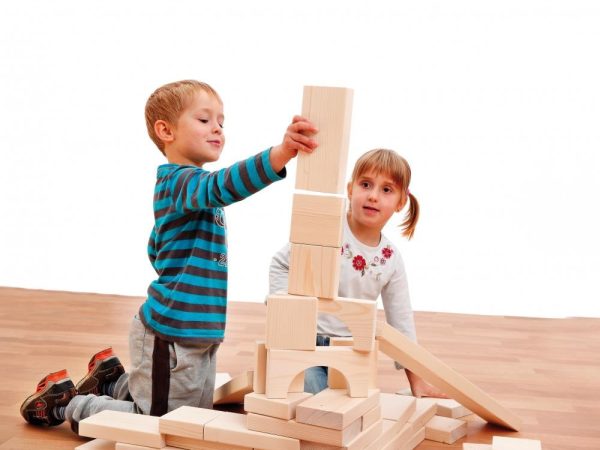 Erzi Maxi Blocks