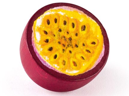 Erzi Passion Fruit Wooden Play Food