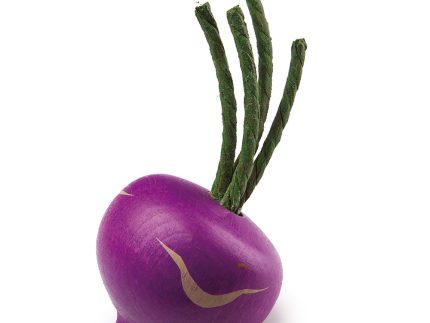 Erzi Purple Turnip Wooden Play Food