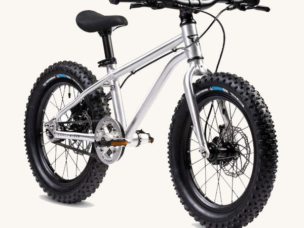 Early Rider Seeker X16 16 Bike
