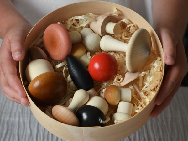 Erzi Wooden Forest Mushrooms in a Box