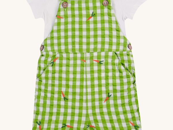 Frugi Alfred Dungaree Outfit - Macaw Gingham / Carrots