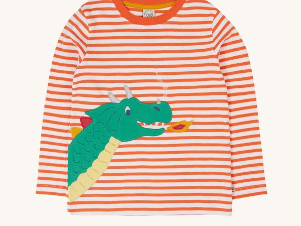 Frugi Discovery Circular Top - Salamander Stripe / Dragon