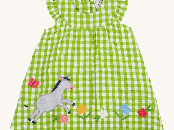 Frugi Myrtle Body Dress - Macaw Gingham / Donkey
