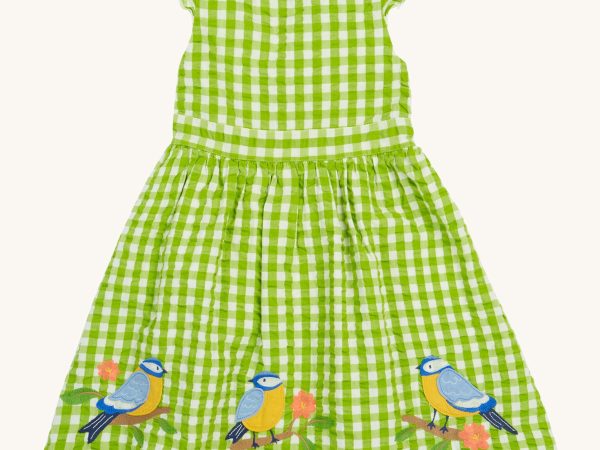 Frugi Zaria Dress - Macaw Gingham / Birds