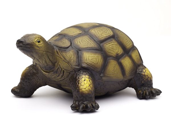 Green Rubber Toys Tortoise