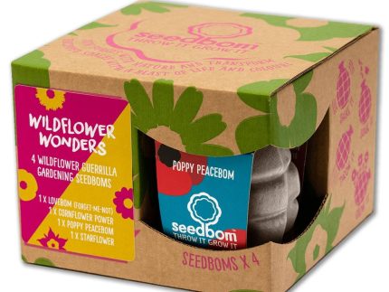 Kabloom Wildflower Wonders Gift Box