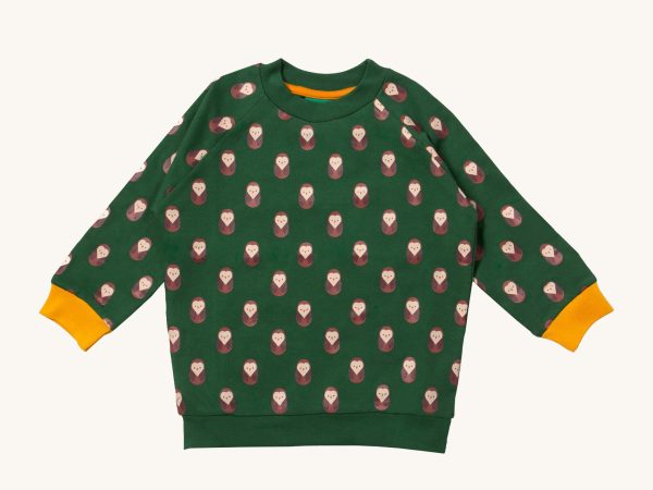Little Green Radicals Raglan Sweatshirt - Brown Owl