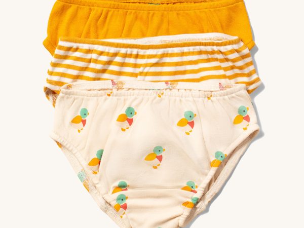 Little Green Radicals Cotton Briefs Set - Little Ducks 3 Pack