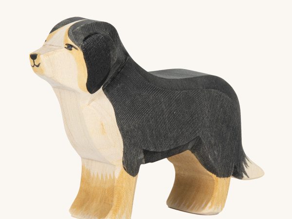 Ostheimer Bernese Mountain Dog