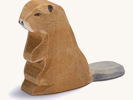 Ostheimer Beaver Sitting