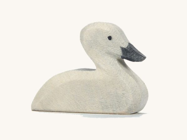 Ostheimer Cygnet
