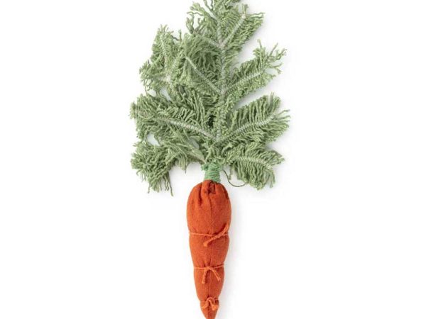 Oli & Carol DIY Cathy The Carrot