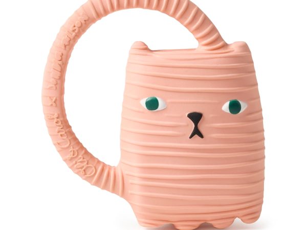 Oli & Carol Ginge Cat