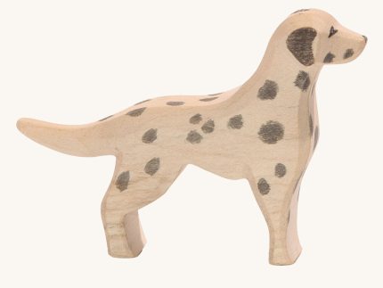 Ostheimer Dalmatian Dog