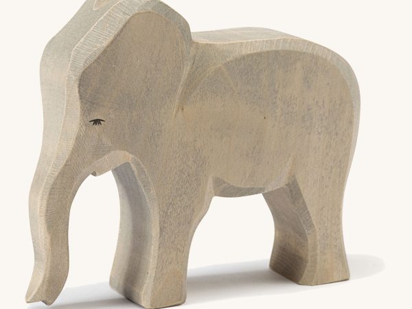Ostheimer Elephant Female