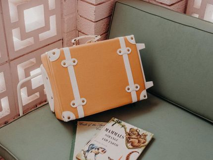 Olli Ella See-Ya Suitcase - Apricot