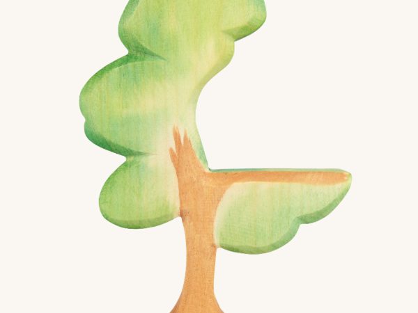 Ostheimer Eucalyptus Tree
