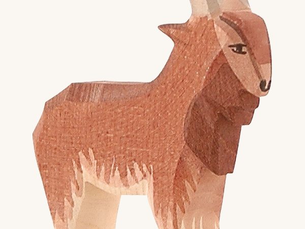 Ostheimer Male Goat