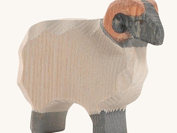 Ostheimer Moorland Ram