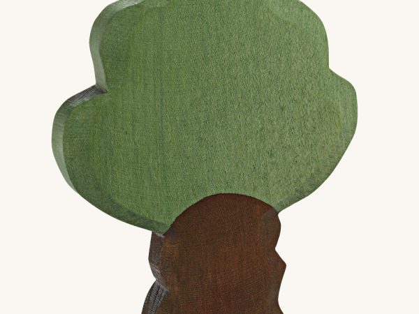 Ostheimer Oak Tree