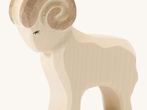 Ostheimer Ram