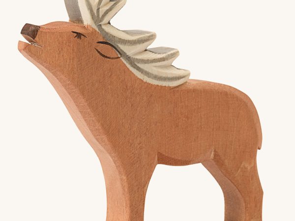 Ostheimer Red Deer Stag