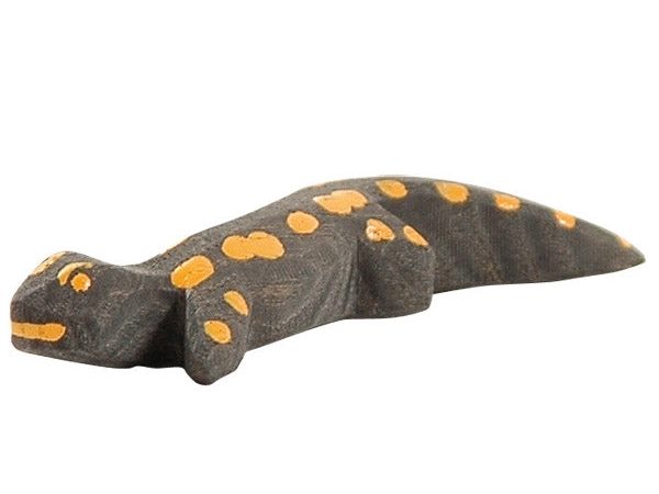 Ostheimer Salamander