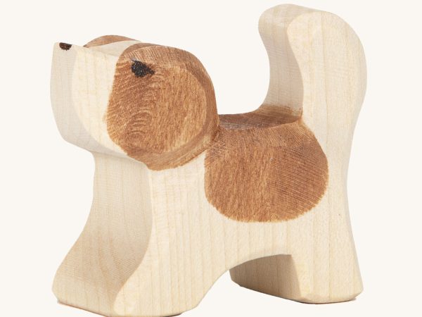 Ostheimer Small St Bernard, Head High