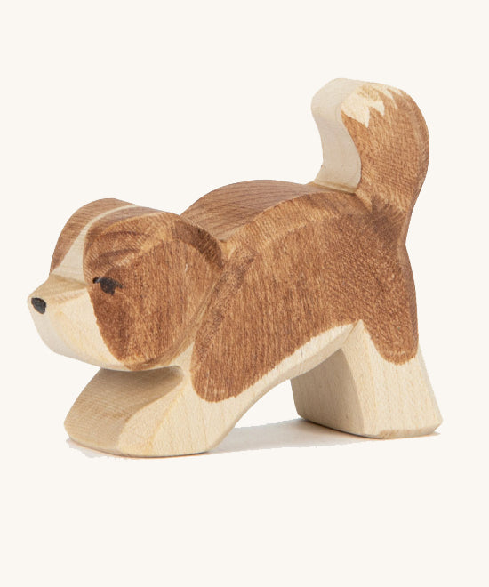 Ostheimer Small St Bernard, Head Down