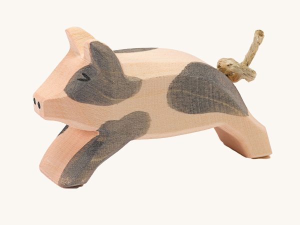 Ostheimer Spotted Piglet Running