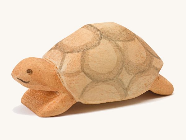 Ostheimer Turtle