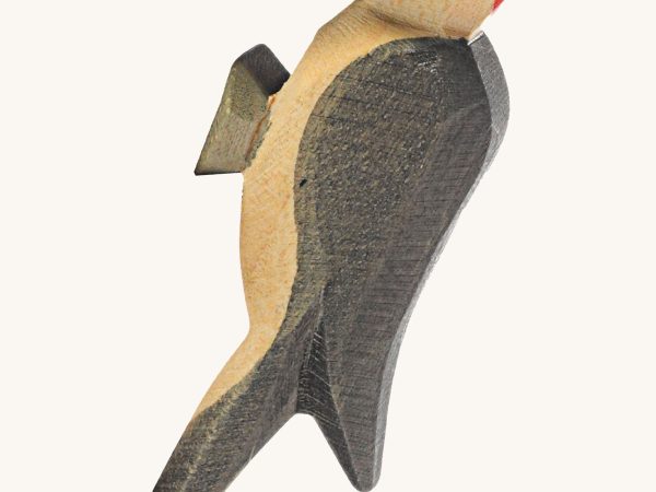Ostheimer Woodpecker
