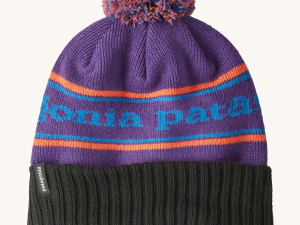 Patagonia Adult Powder Town Beanie - Park Stripe Purple