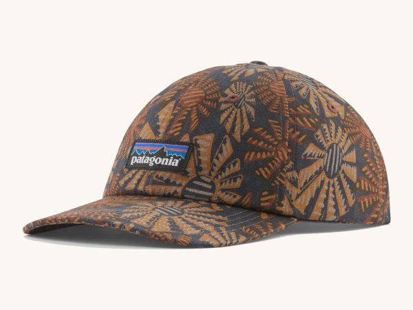 Patagonia Adult P-6 Label Trad Cap - Sun Wave