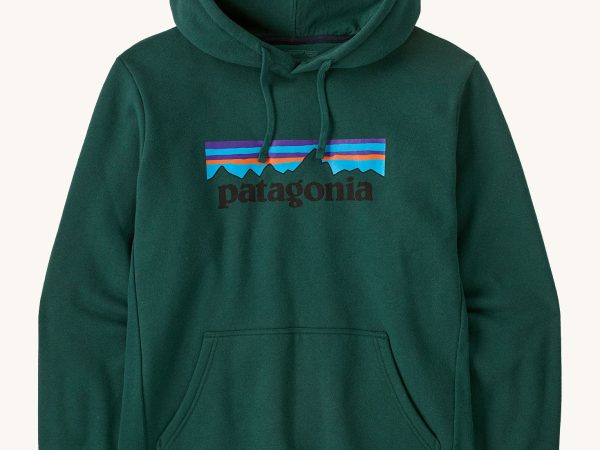 Patagonia Adult Uprisal Hoody - P-6 Logo / Cascade Green