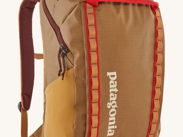 Patagonia Black Hole Pack 32L - Talon Gold