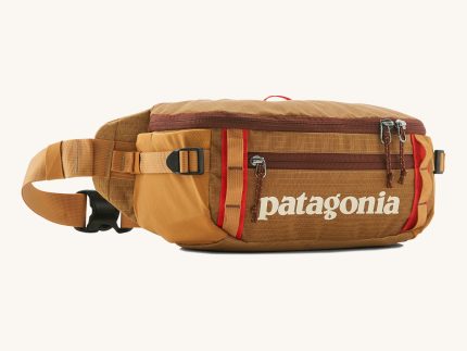 Patagonia Black Hole Waist Pack 5L - Talon Gold