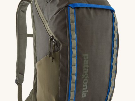 Patagonia Black Hole Pack 32L - Basin Green