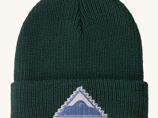 Patagonia Kids Logo Beanie - Driftways Patch / Cascade Green