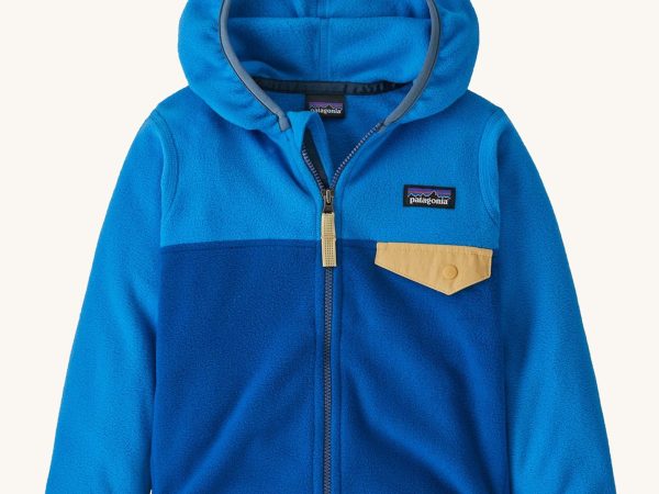 Patagonia Little Kids Micro D Fleece Jacket - Vessel Blue